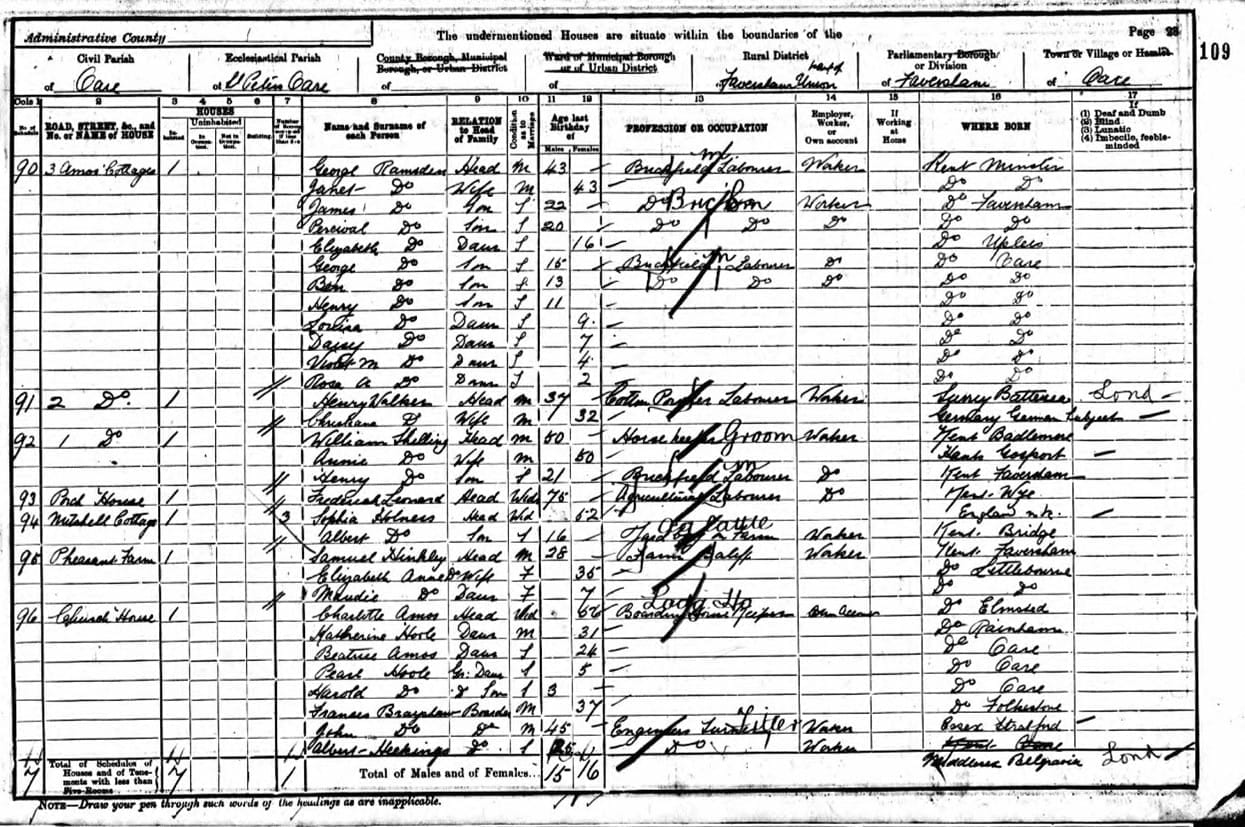 A photo of a page of the 1891 census records.