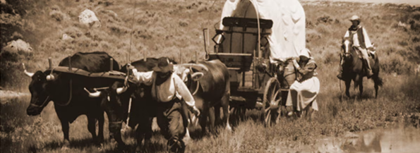 Stock photo of an ox-driven wagon train.